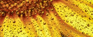 Preview wallpaper flower, liquid, bubbles, macro, yellow