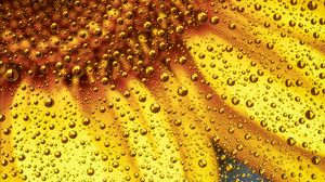 Preview wallpaper flower, liquid, bubbles, macro, yellow