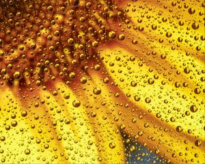 Preview wallpaper flower, liquid, bubbles, macro, yellow