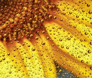Preview wallpaper flower, liquid, bubbles, macro, yellow