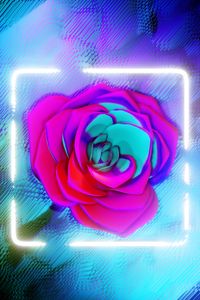 Preview wallpaper flower, neon, frame, glow, bright