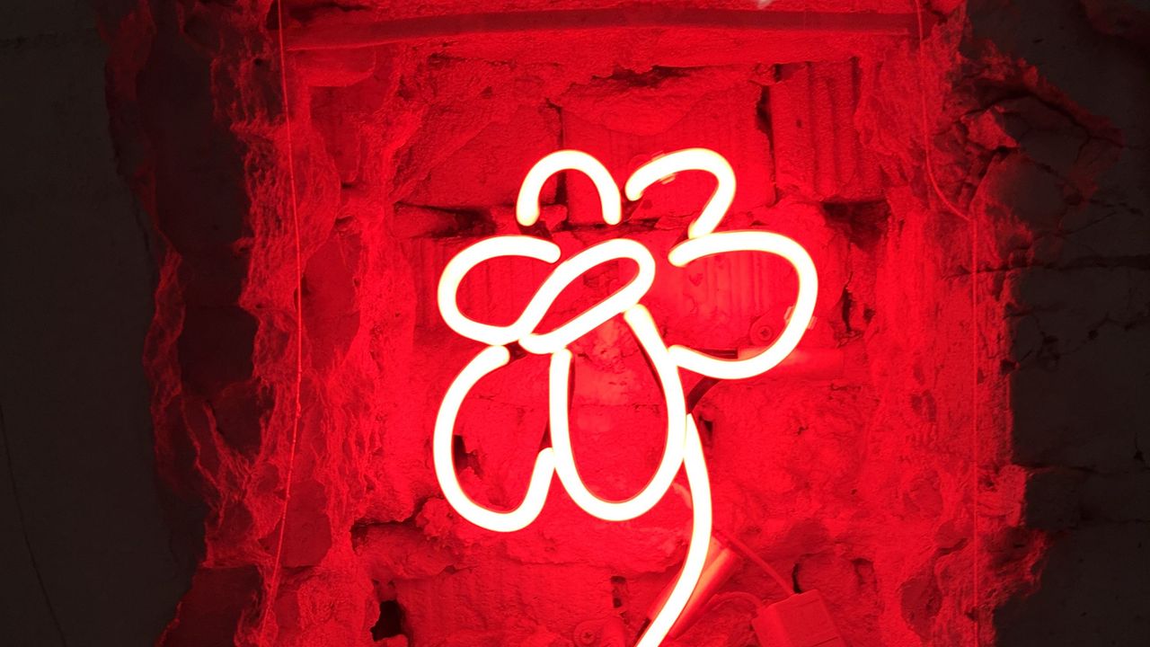 Wallpaper flower, neon, glow