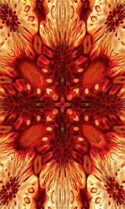 Preview wallpaper flower, pattern, fractal, abstraction