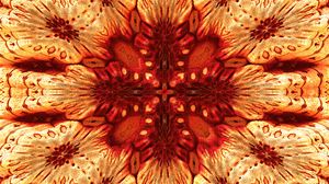 Preview wallpaper flower, pattern, fractal, abstraction