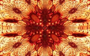 Preview wallpaper flower, pattern, fractal, abstraction