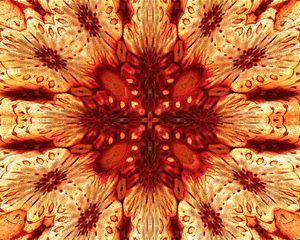 Preview wallpaper flower, pattern, fractal, abstraction