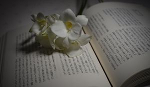 Preview wallpaper flower, petals, book, hieroglyphs, reading