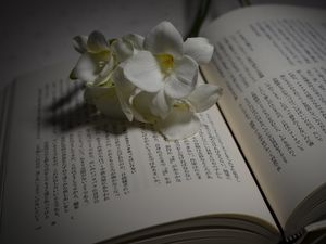 Preview wallpaper flower, petals, book, hieroglyphs, reading