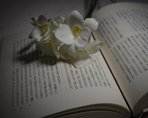 Preview wallpaper flower, petals, book, hieroglyphs, reading