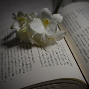 Preview wallpaper flower, petals, book, hieroglyphs, reading