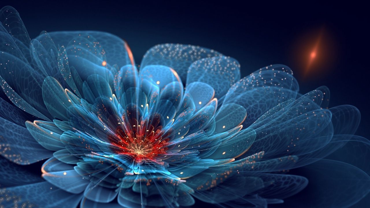 Wallpaper flower, petals, colorful, smoke hd, picture, image