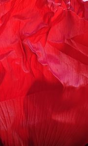Preview wallpaper flower, petals, crumpled, red, texture