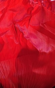 Preview wallpaper flower, petals, crumpled, red, texture