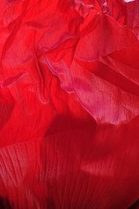 Preview wallpaper flower, petals, crumpled, red, texture