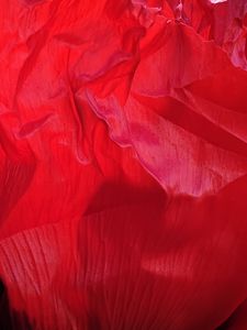 Preview wallpaper flower, petals, crumpled, red, texture