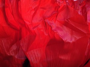 Preview wallpaper flower, petals, crumpled, red, texture