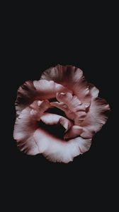Preview wallpaper flower, petals, dark, bud