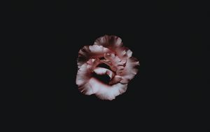 Preview wallpaper flower, petals, dark, bud