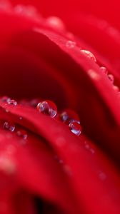 Preview wallpaper flower, petals, drops, water, macro, red