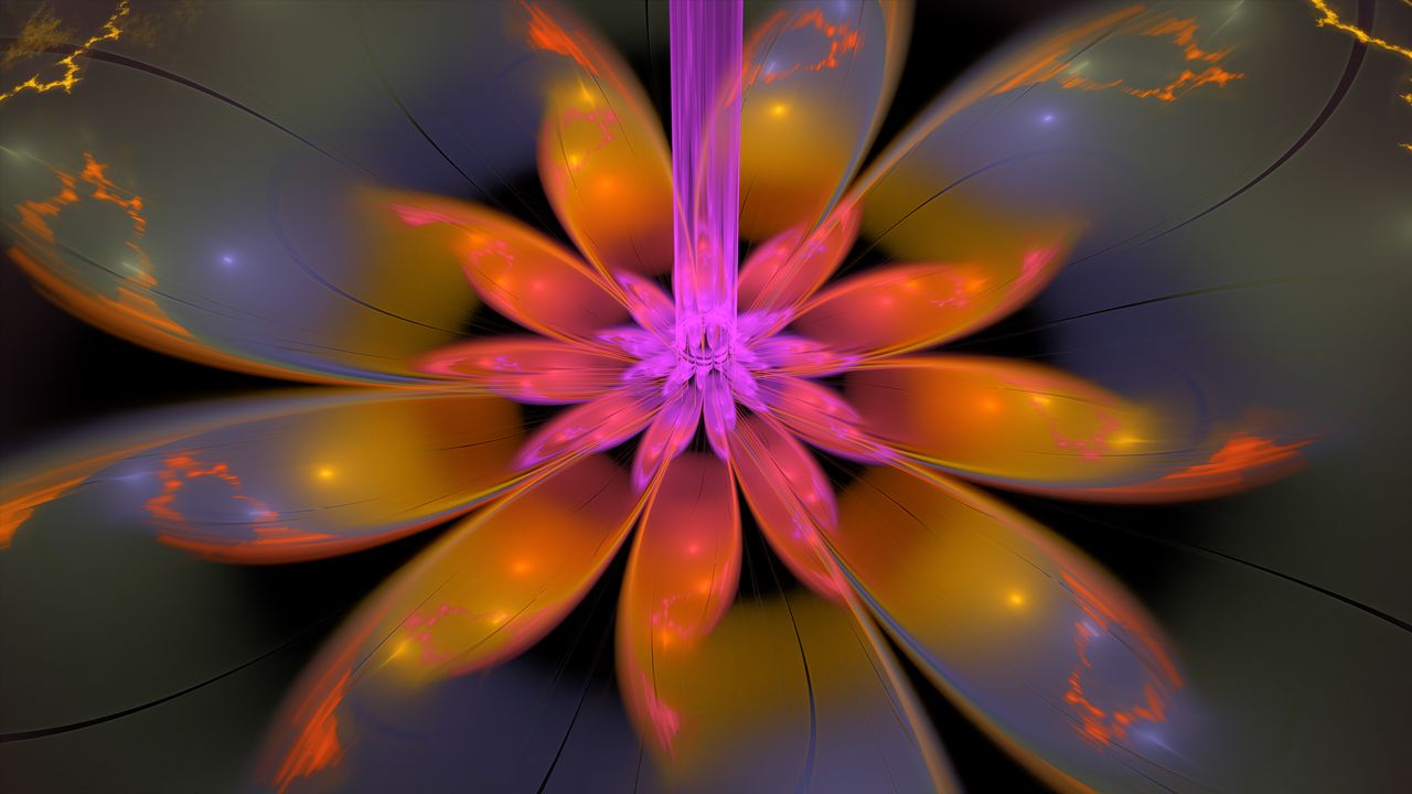 Wallpaper flower, petals, glow, abstraction