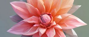 Preview wallpaper flower, petals, gradient, art, blur