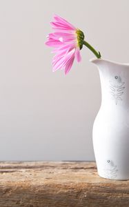 Preview wallpaper flower, petals, pitcher, minimalism