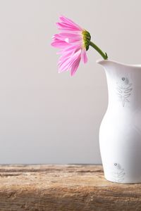 Preview wallpaper flower, petals, pitcher, minimalism