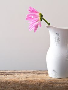 Preview wallpaper flower, petals, pitcher, minimalism