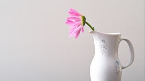 Preview wallpaper flower, petals, pitcher, minimalism
