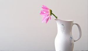 Preview wallpaper flower, petals, pitcher, minimalism