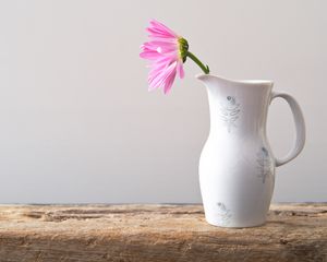 Preview wallpaper flower, petals, pitcher, minimalism