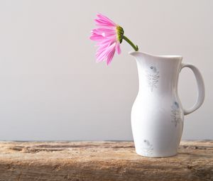 Preview wallpaper flower, petals, pitcher, minimalism