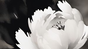 Preview wallpaper flower, petals, stains, art, bw