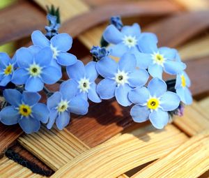 Preview wallpaper flower, petals, surface, decoration