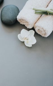 Preview wallpaper flower, petals, towels, stone, aesthetics