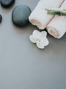Preview wallpaper flower, petals, towels, stone, aesthetics