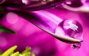 Preview wallpaper flower, petals, water, drop, macro, pink