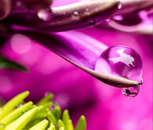 Preview wallpaper flower, petals, water, drop, macro, pink