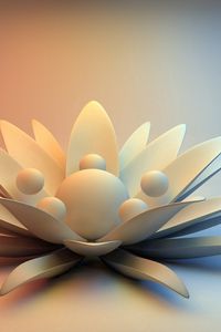 Preview wallpaper flower, petals, water lily, surface, light