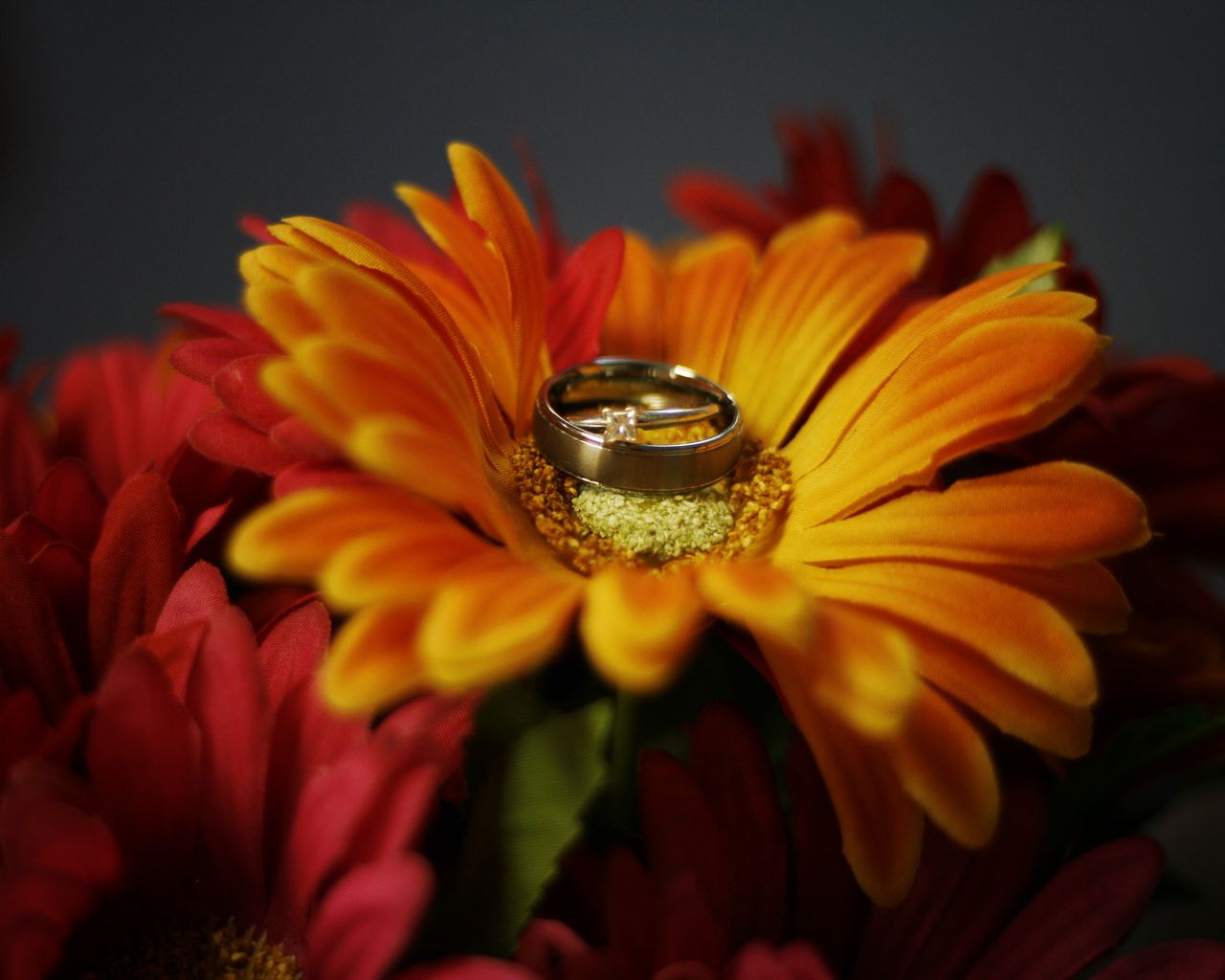 1280x1024 Wallpaper flower, petals, wedding rings, wedding
