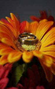 Preview wallpaper flower, petals, wedding rings, wedding