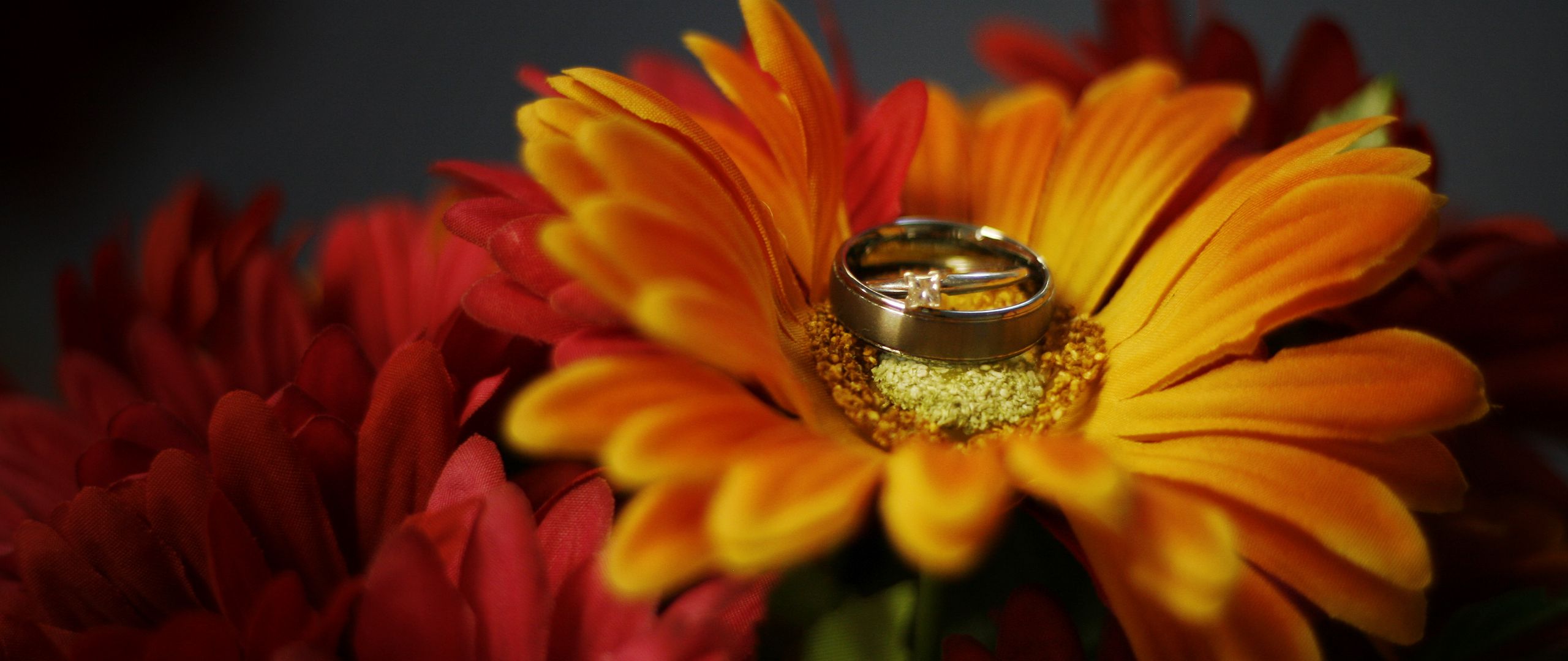 2560x1080 Wallpaper flower, petals, wedding rings, wedding