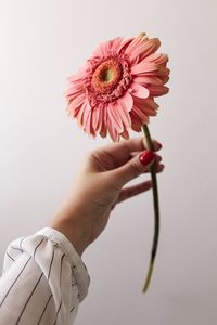 Preview wallpaper flower, pink, hand