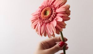 Preview wallpaper flower, pink, hand