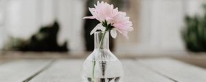 Preview wallpaper flower, pink, vase, glass