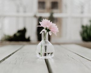 Preview wallpaper flower, pink, vase, glass