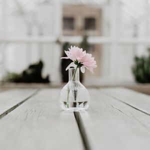 Preview wallpaper flower, pink, vase, glass