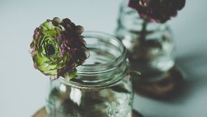 Preview wallpaper flower, plant, bank