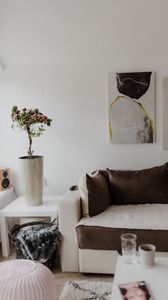 Preview wallpaper flower, plant, sofa, interior, aesthetics