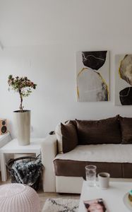 Preview wallpaper flower, plant, sofa, interior, aesthetics